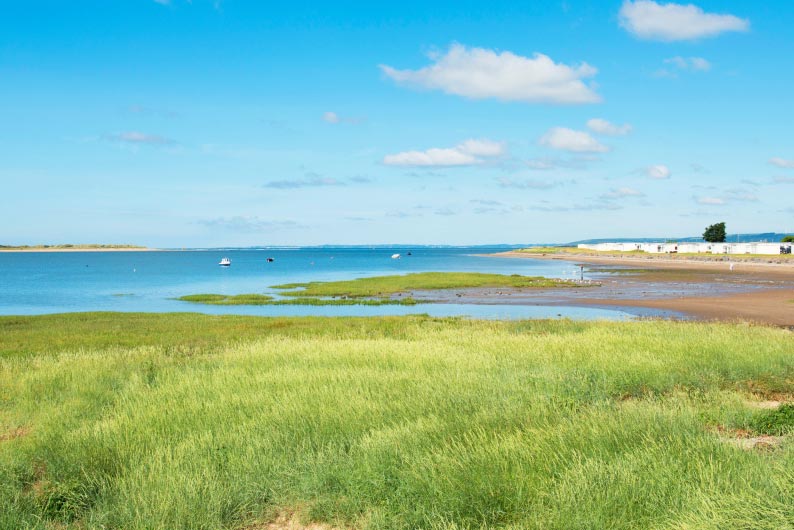 Grassy dunes and beach at Carmarthen Bay in Wales