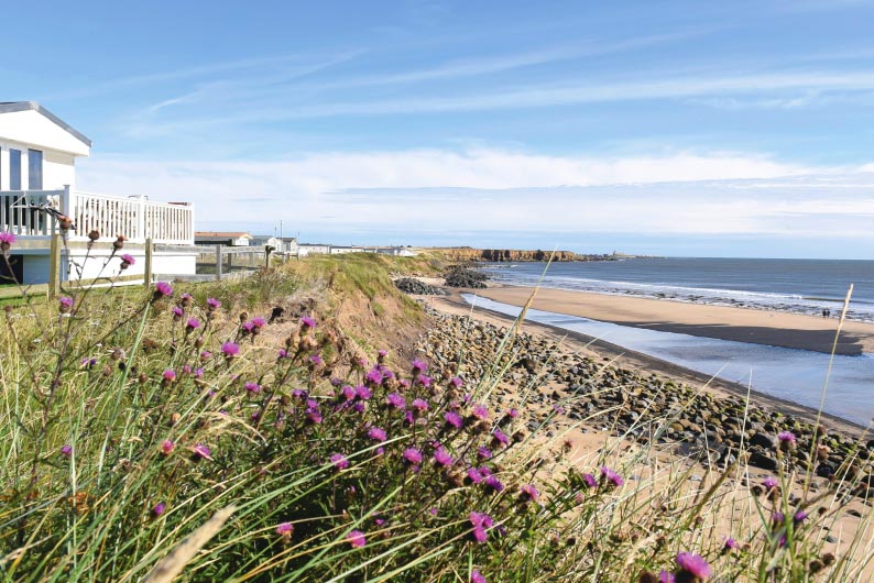 Caravans overlooking the sea at Sandy Bay Holiday Park in Northumberland