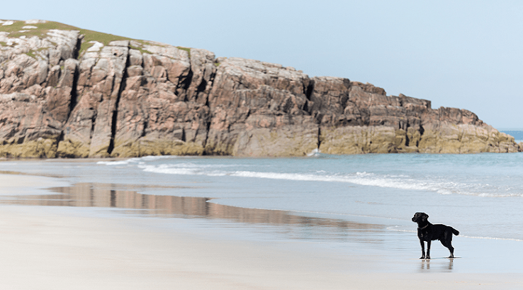 British coast