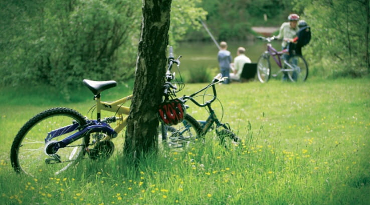 Bike resting against tree in English countryside