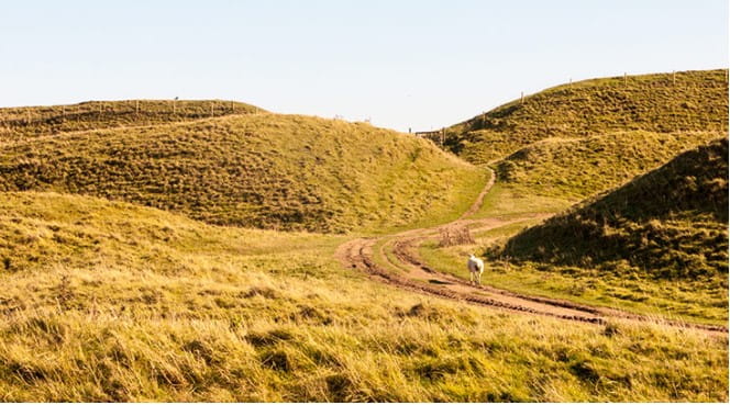 Image hills