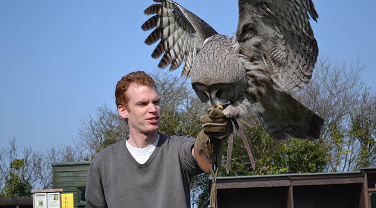 Man handling owl