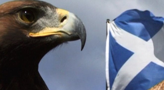 Image eagle