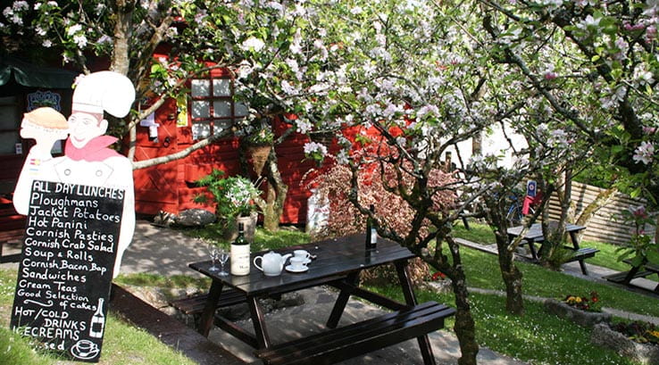 Tea on bench in garden