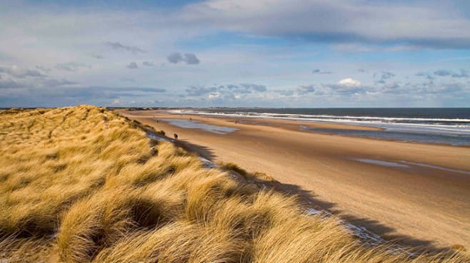 Image beach