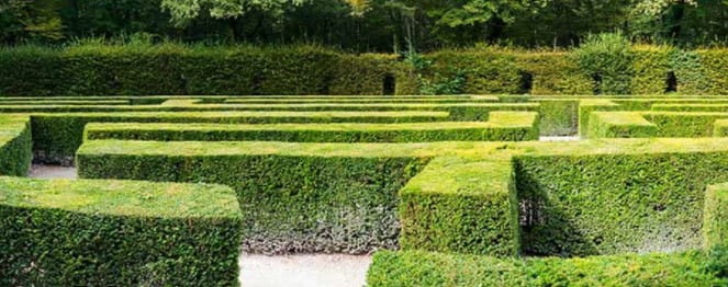 Image maze