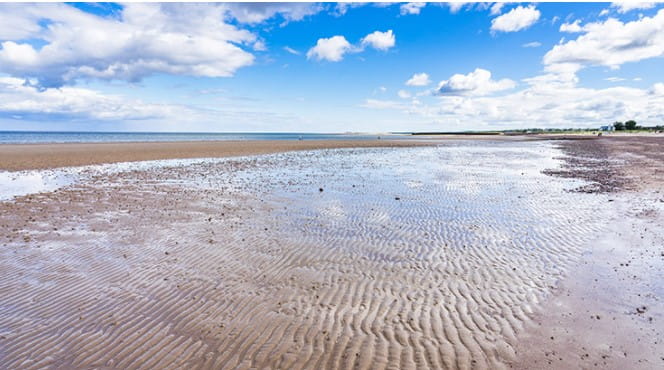 Image beach