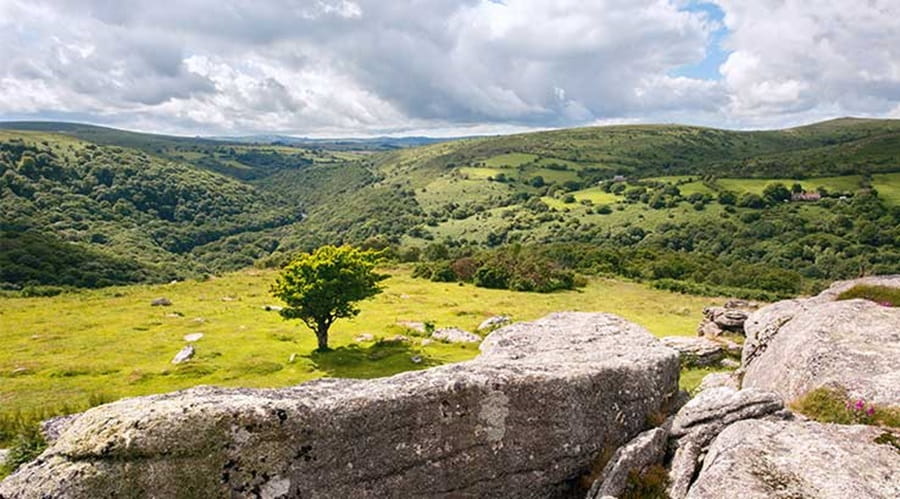 British National Park