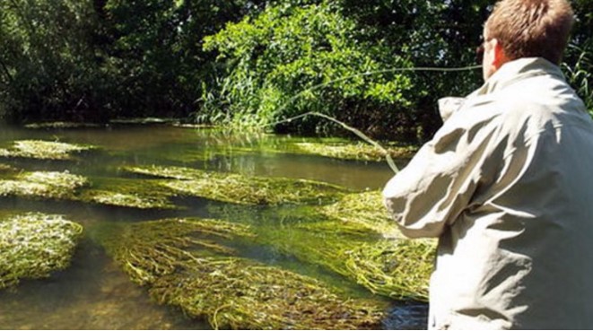 Image fishing