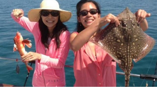 Image fish
