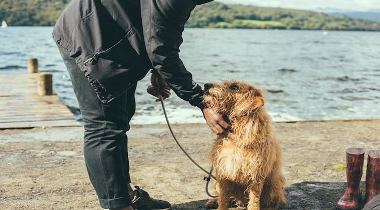 Dog and owner at the Lake District