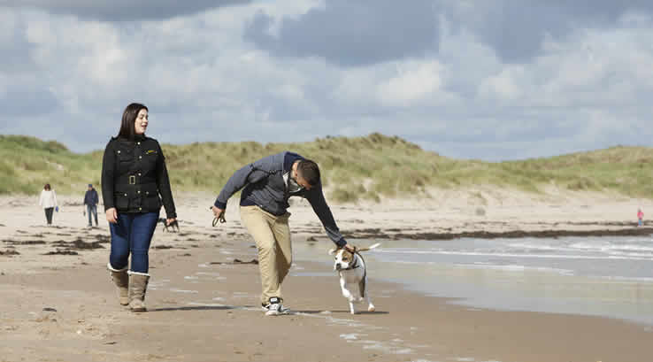 Couple walking dog on beach