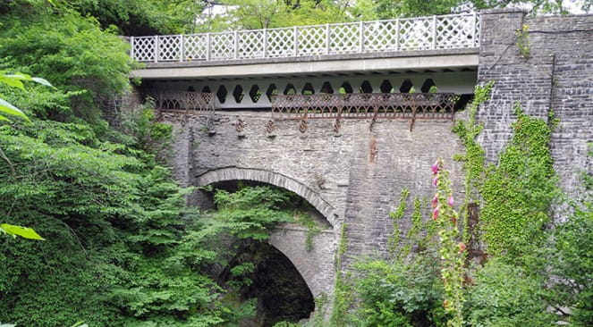 Image bridge