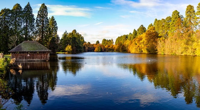 Image Lake