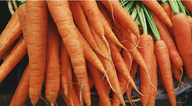 Image carrots