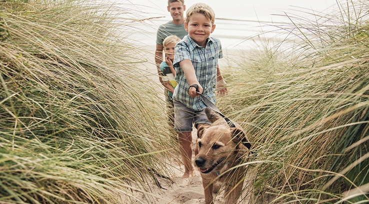 Family Walking Through Sand Dunes with Dog