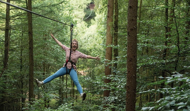 Treetop Adventure