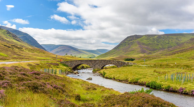 Cairngorms