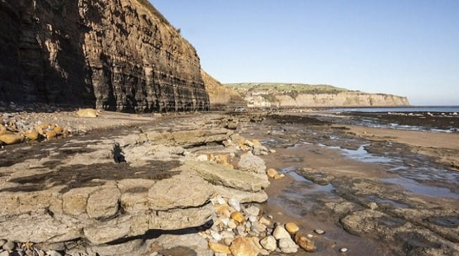 Image beach