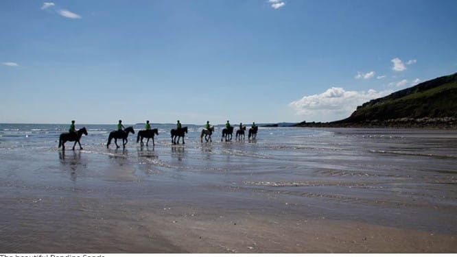 Image beach