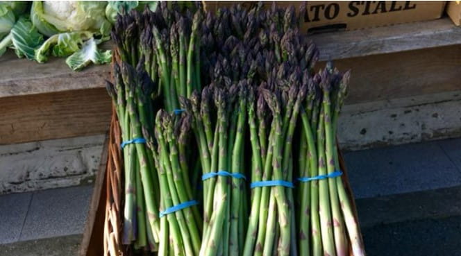 Image food