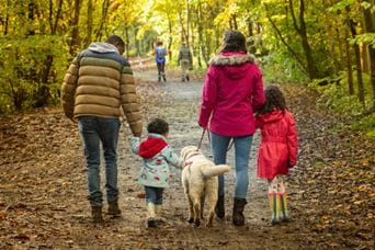 A family walking their dog through the woods on an autumn day