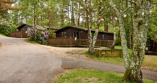 Lodges nestled amongst the trees at Warmwell Holiday Park in Dorset