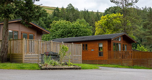 Lodges amongst the trees in the Lake District