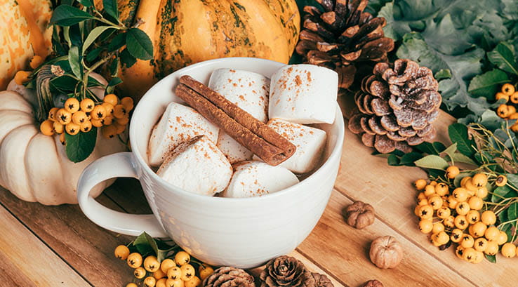 Marshmallows and cinnamon in a mug