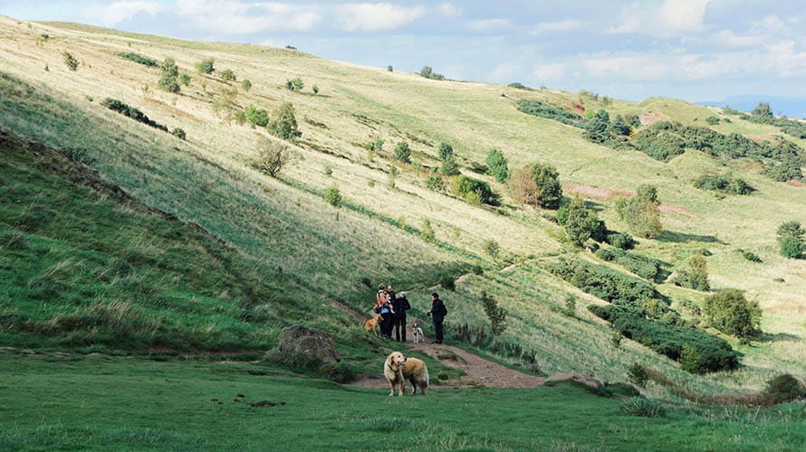 A family and a dog walking through green hills