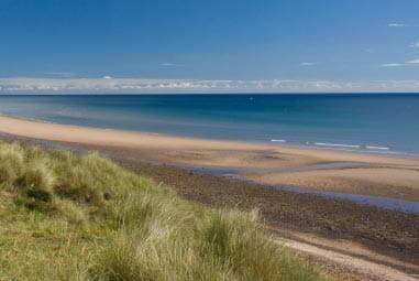 beach with grassy sand dunes