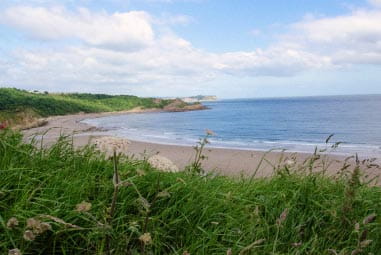 pretty beach with grassy sand dunes