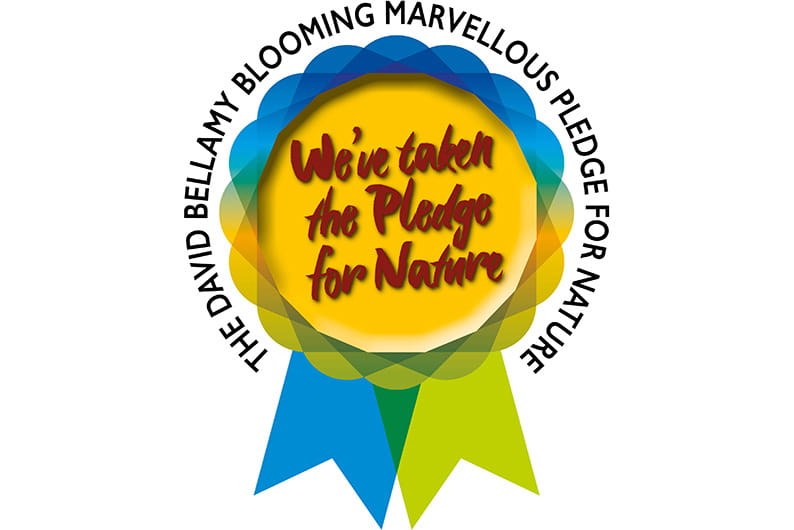 Blue and green award