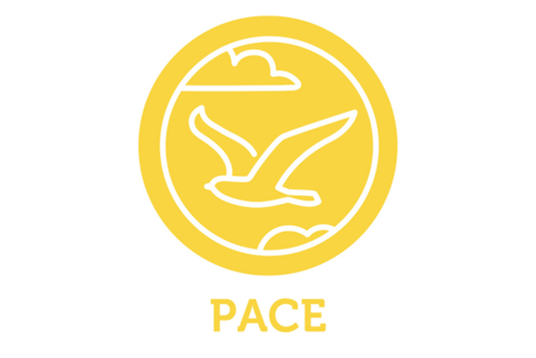 Pace icon