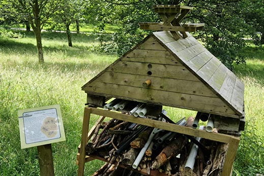 Nature insect shelter