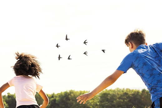 Boy and girl looking at birds in the sky