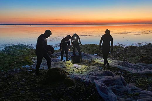 People looking for seagrass