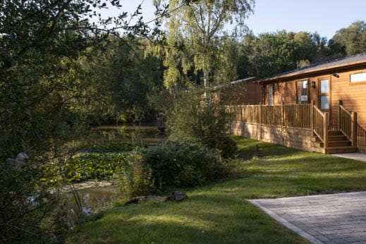 Wooden lodge in the sunshine