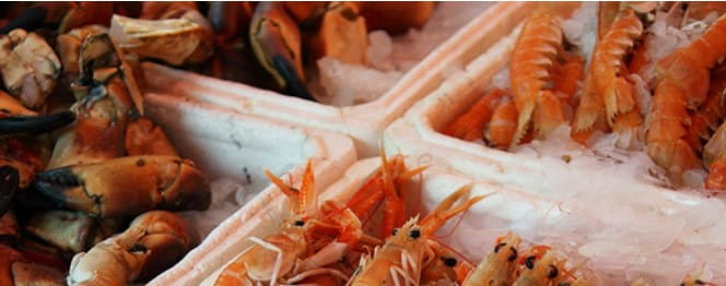 Fresh seafood