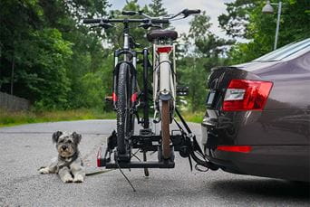 Bikes on a bike rack on the back of a car, with a dog lying next to it