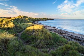 Grassy dunes lining the Northumberland Coast, near Sandy Bay Holiday Park