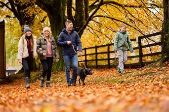 A family walking their dog through woodland with autumn leaves on the ground