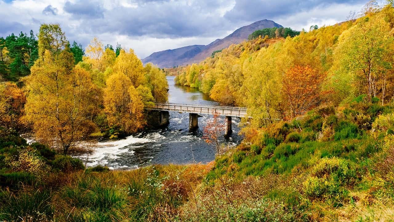 A river surrounded by spectacular golden trees in Scotland in Autumn
