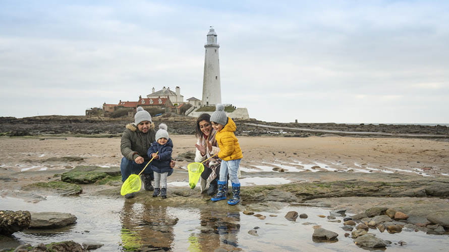 A family rock pooling at Whitley Bay Beach with St. Mary's Lighthouse in the background