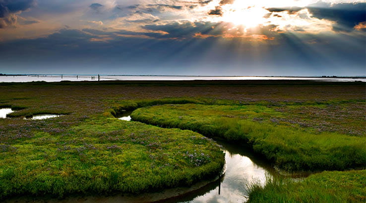 The Norfolk Broads in Norfolk