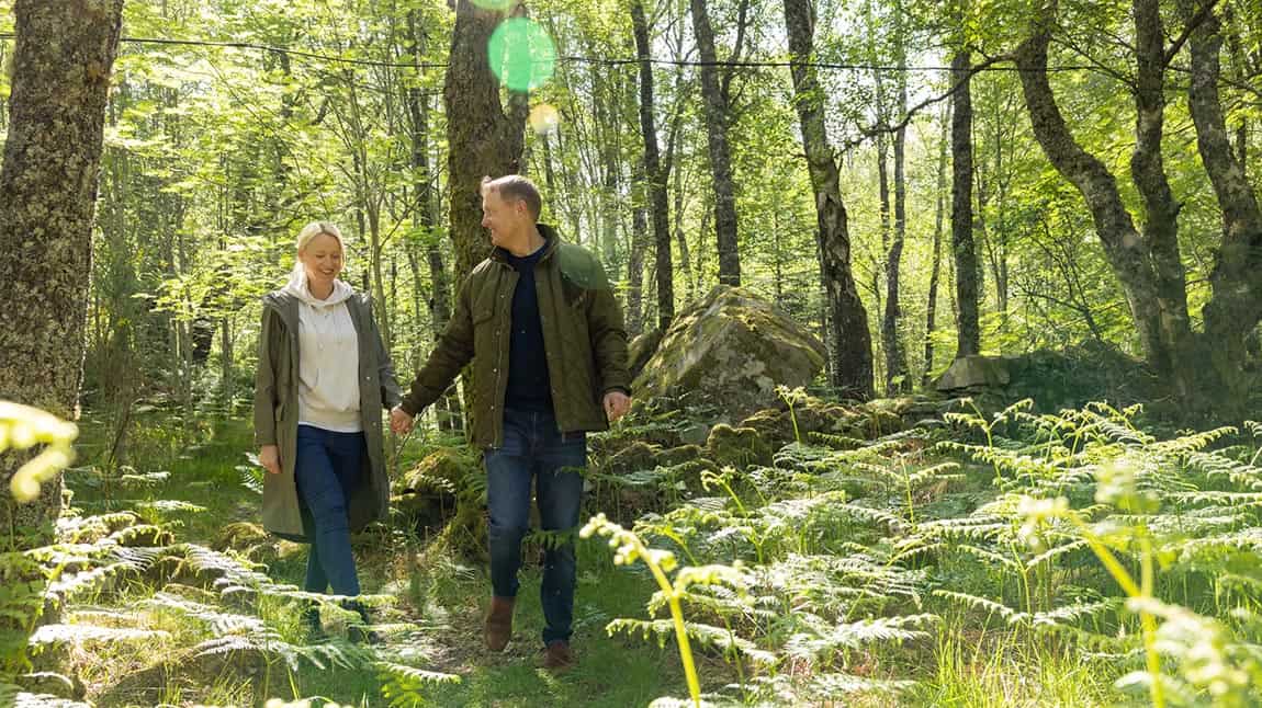 A couple walking through a lush green woodland