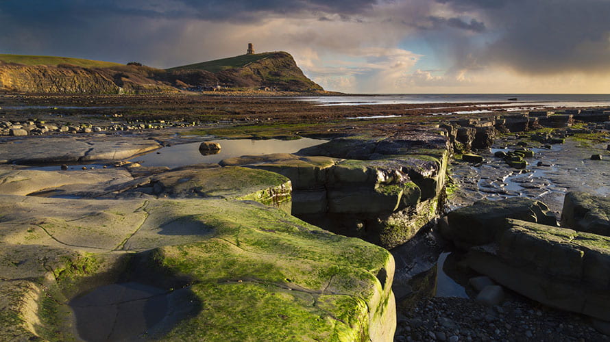 Rockpools at low tide in Dorset