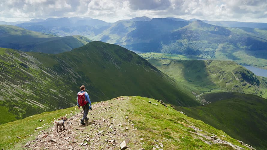 Woman hiking with a dog on top of a mountain in the Lake District