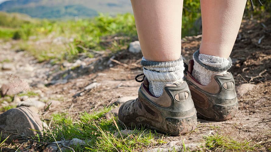 A close up of a pair of walking boots