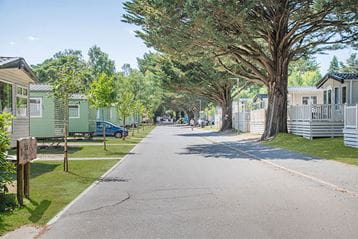 Rows of caravans amongst the woodland at Sandford Holiday Park in Dorset